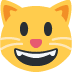 :grinning_cat: :grinning_cat: