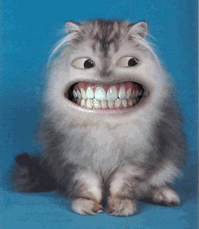 http://img1.gbpicsonline.com/gb/104/032.gif