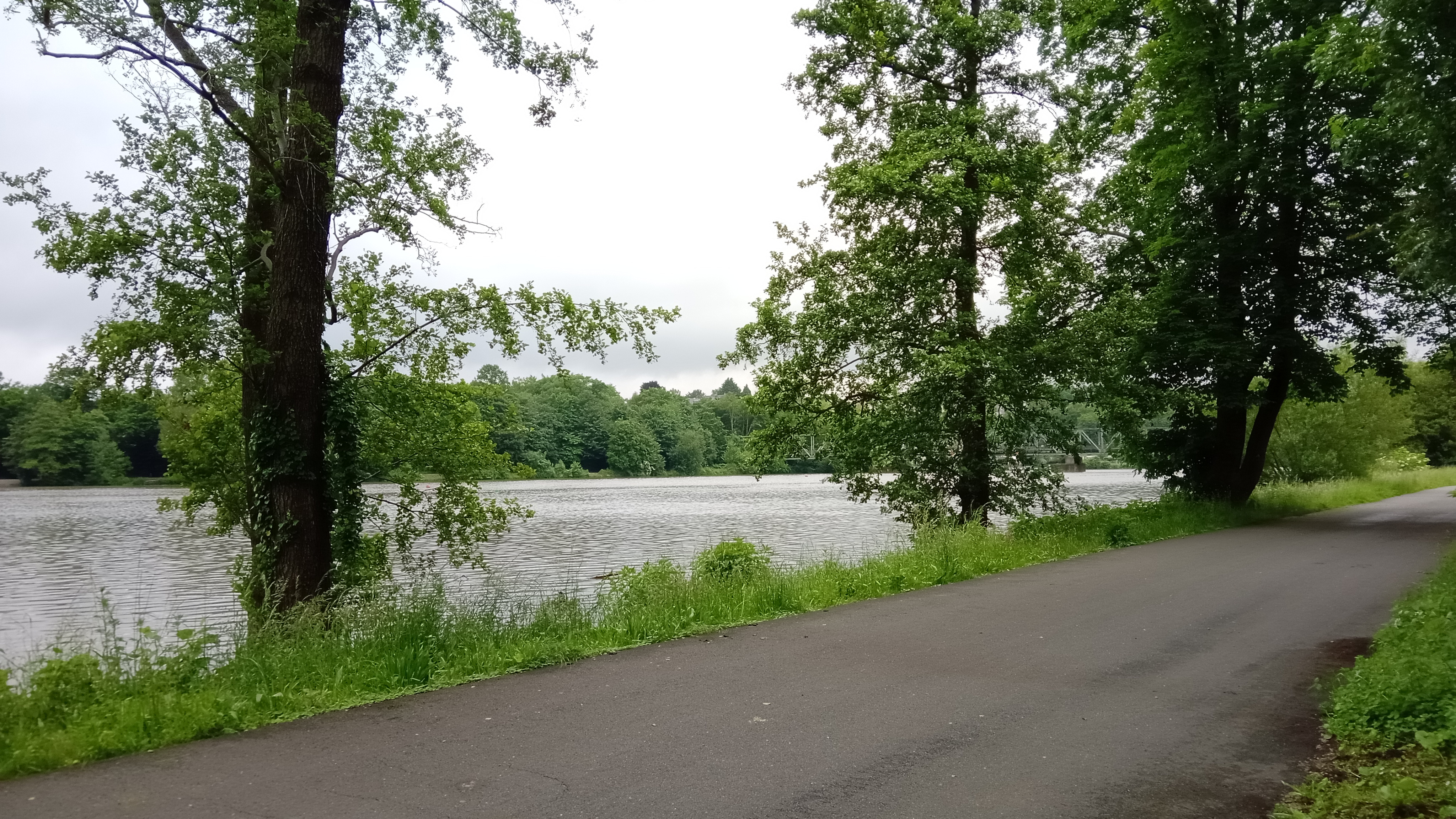Baldeneysee in Essen. Entlang des Sees verläuft ein asphaltierter Weg mit Bäumen rechts und links..