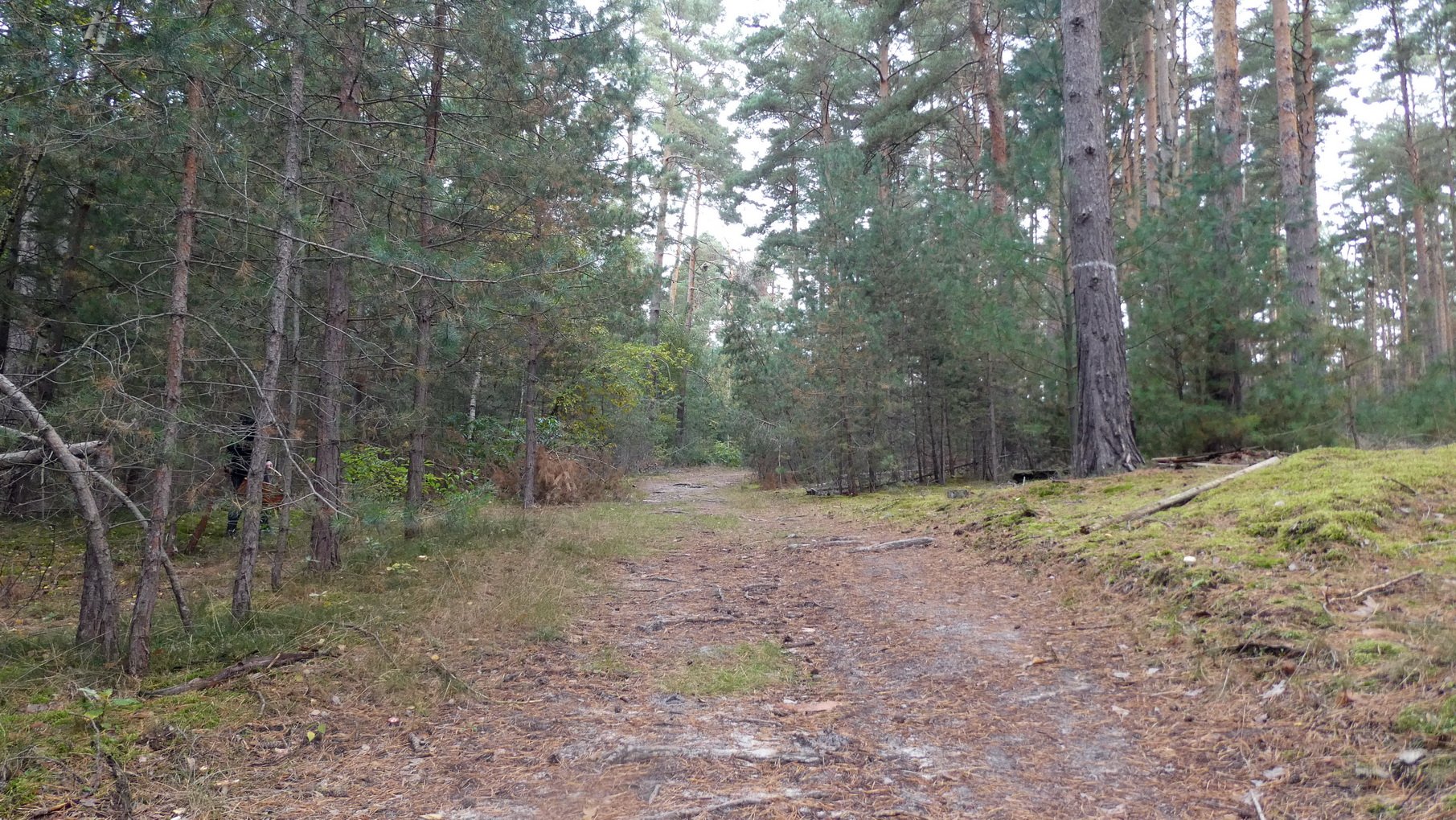 2021_10_Herbst--Pilze_13.JPG