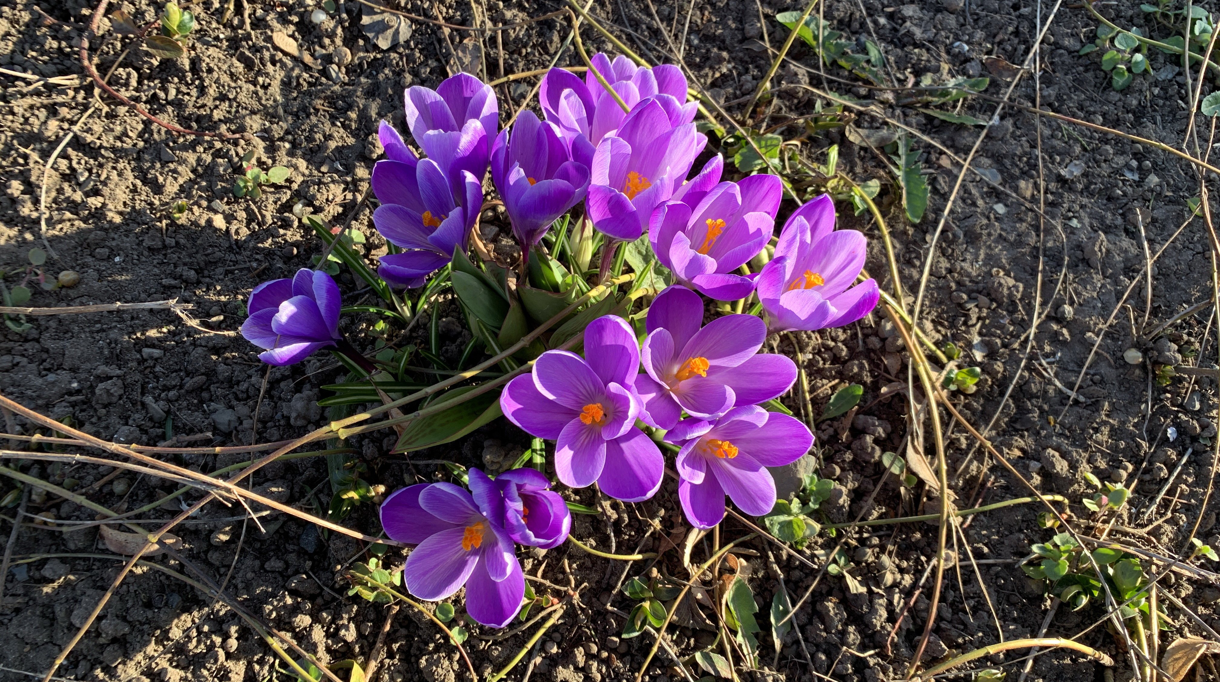 Kathleen Müller - ED67BA1B-1BBE-441F-BDA3-546117B26BC7.jpeg