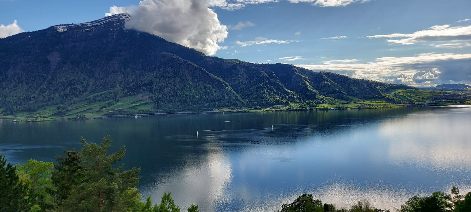 WhatsApp Image 2025-04-25 à 18.13.42_b6cc2853.jpg