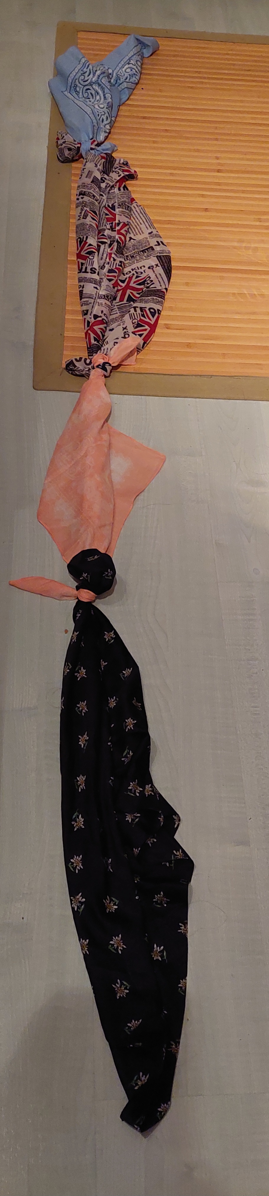 20230424_190510.jpg